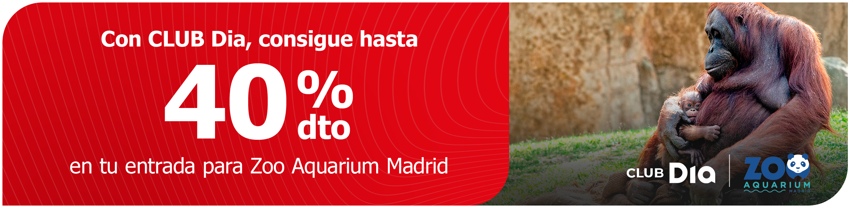 CLUB Dia te lleva a explorar la vida salvaje en Zoo de Madrid CLUB Dia te lleva a explorar la vida salvaje en Zoo de Madrid